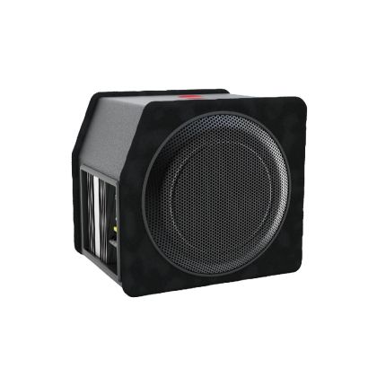 Subwoofer RESIGILAT auto activ Nakamichi, 10 inch, 100 W RMS, 1000 W max