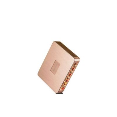 Amplificator auto Goldhorn P1 DSPA