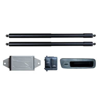 Sistem de ridicare și închidere portbagaj automat din buton și cheie Lexus NX 2022 - 2023 AZ20