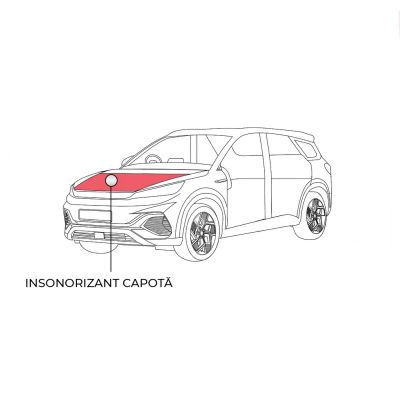 Pachet insonorizant capotă Dr Artex